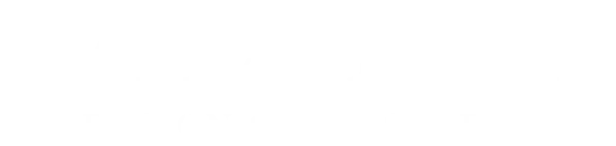 Nav Logo